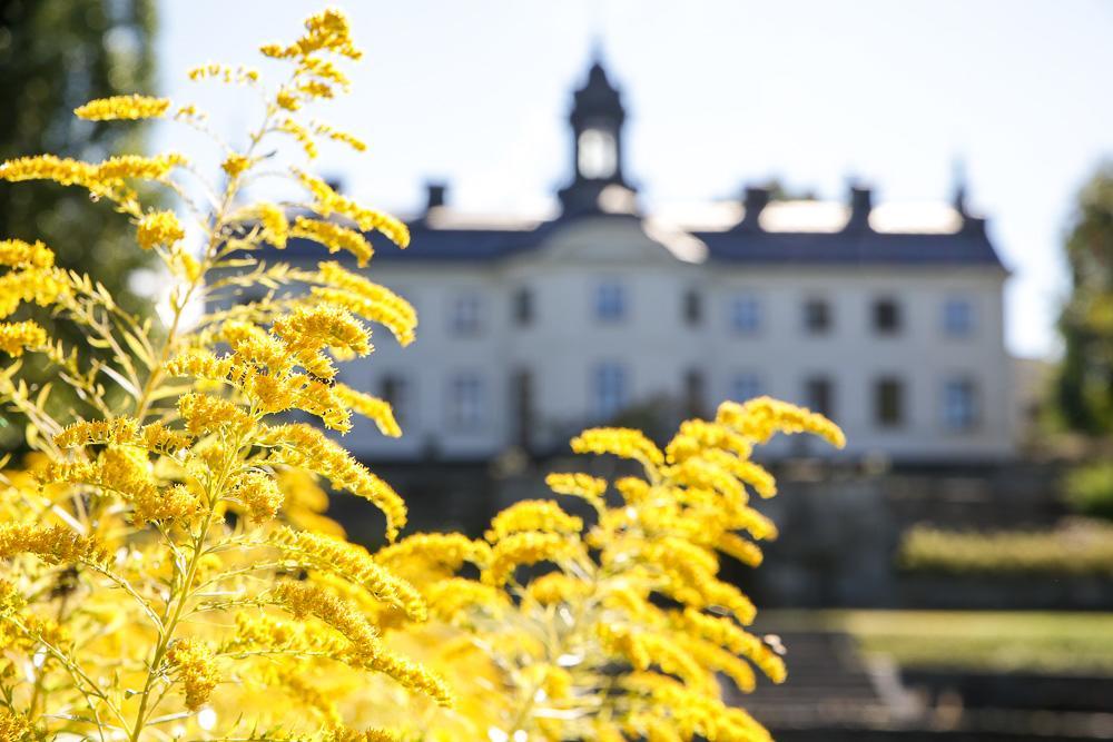 Kaggeholms Slott Bed & Breakfast Ekero Exterior photo